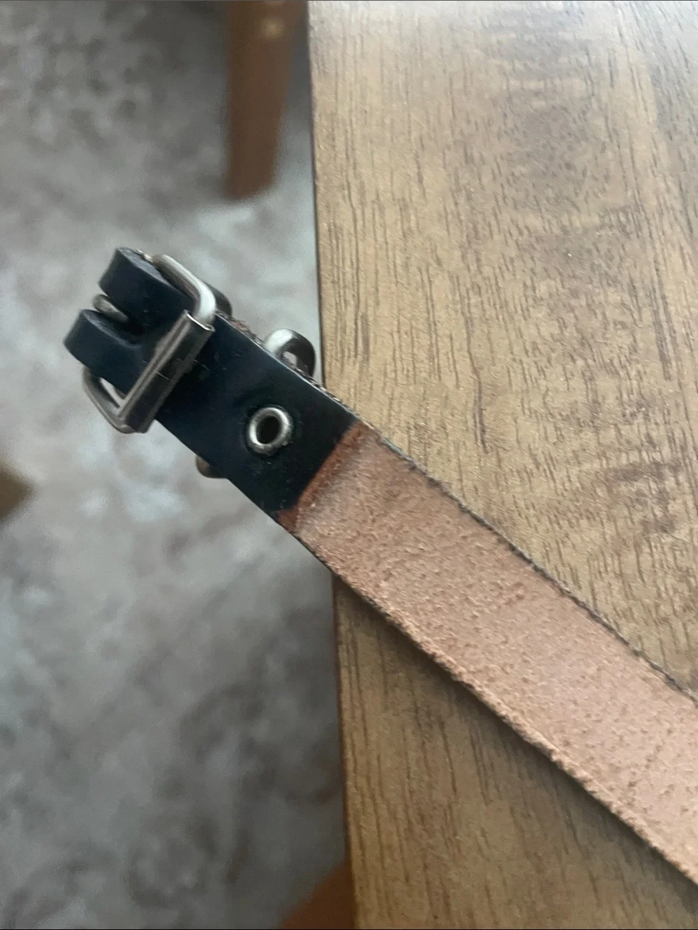 Black Leather 'COSMOS' Embossed doggie collar.